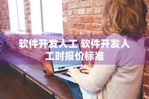 软件开发人工 软件开发人工时报价标准