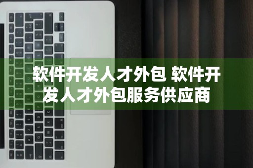 软件开发人才外包 软件开发人才外包服务供应商