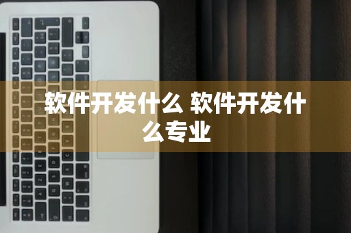 软件开发什么 软件开发什么专业