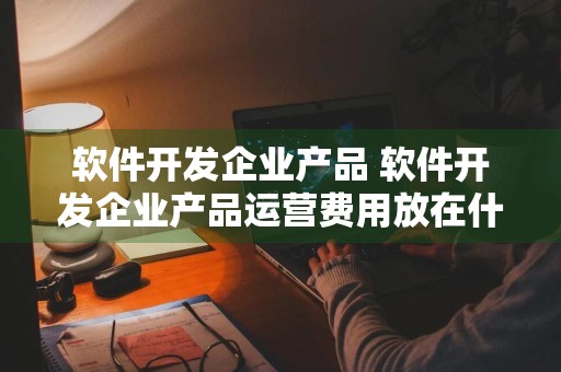 软件开发企业产品 软件开发企业产品运营费用放在什么费用