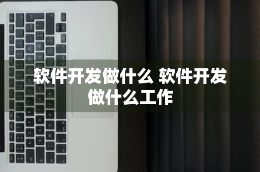 软件开发做什么 软件开发做什么工作