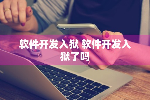 软件开发入狱 软件开发入狱了吗