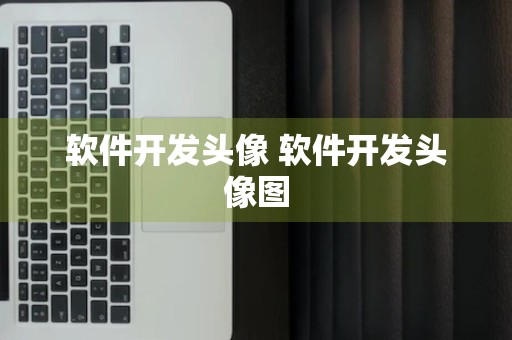 软件开发头像 软件开发头像图