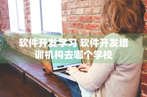 软件开发学习 软件开发培训机构去哪个学校