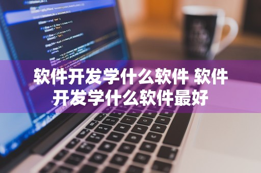 软件开发学什么软件 软件开发学什么软件最好