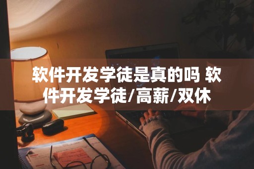 软件开发学徒是真的吗 软件开发学徒/高薪/双休