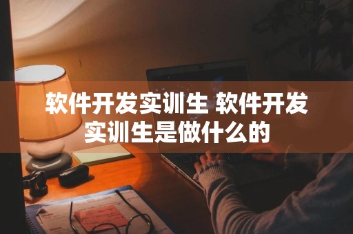 软件开发实训生 软件开发实训生是做什么的