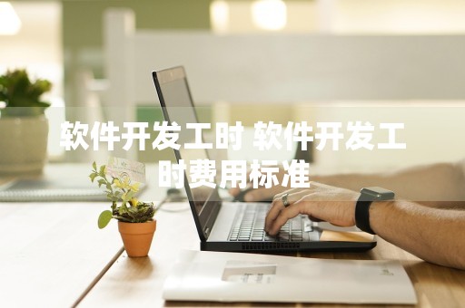 软件开发工时 软件开发工时费用标准