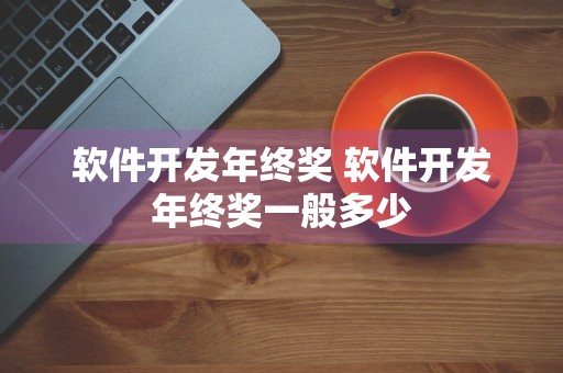 软件开发年终奖 软件开发年终奖一般多少