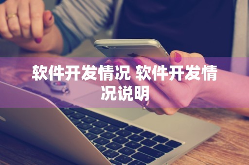 软件开发情况 软件开发情况说明