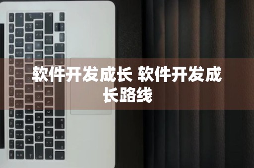 软件开发成长 软件开发成长路线