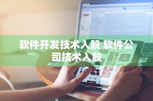 软件开发技术入股 软件公司技术入股