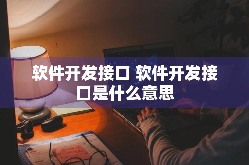 软件开发接口 软件开发接口是什么意思