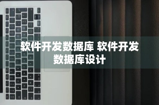 软件开发数据库 软件开发数据库设计