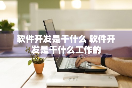 软件开发是干什么 软件开发是干什么工作的