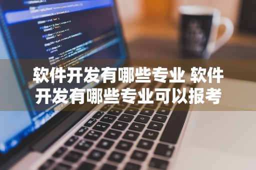 软件开发有哪些专业 软件开发有哪些专业可以报考