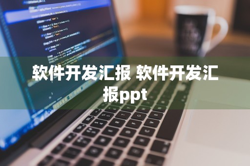 软件开发汇报 软件开发汇报ppt