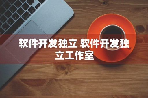 软件开发独立 软件开发独立工作室