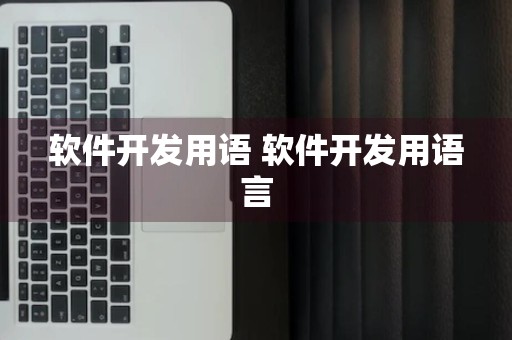 软件开发用语 软件开发用语言