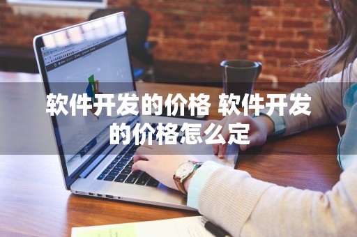 软件开发的价格 软件开发的价格怎么定