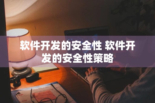 软件开发的安全性 软件开发的安全性策略