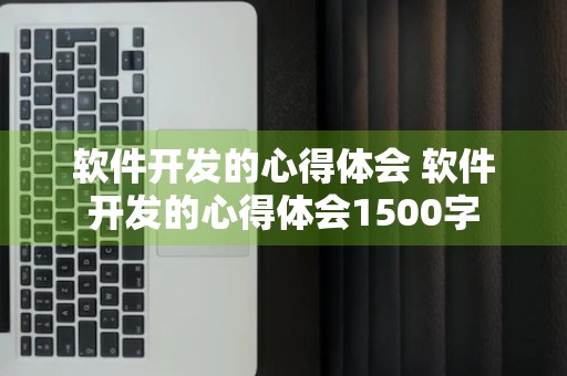 软件开发的心得体会 软件开发的心得体会1500字