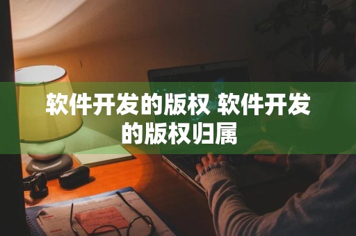 软件开发的版权 软件开发的版权归属