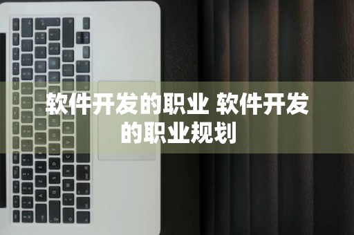 软件开发的职业 软件开发的职业规划