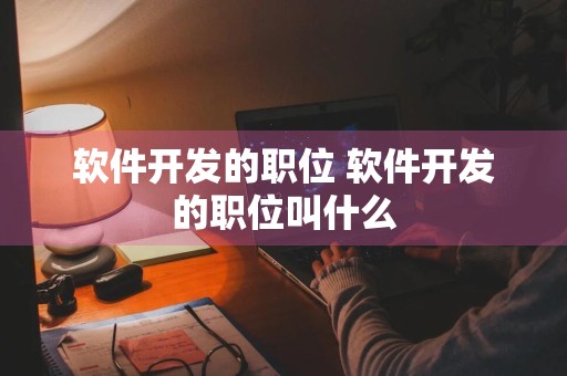 软件开发的职位 软件开发的职位叫什么