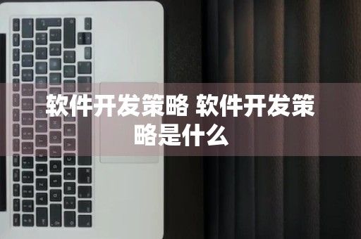 软件开发策略 软件开发策略是什么