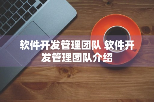 软件开发管理团队 软件开发管理团队介绍