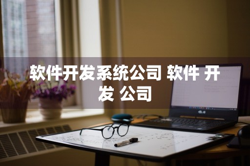 软件开发系统公司 软件 开发 公司