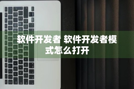 软件开发者 软件开发者模式怎么打开