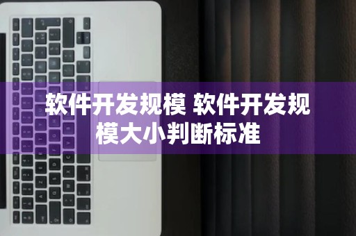 软件开发规模 软件开发规模大小判断标准