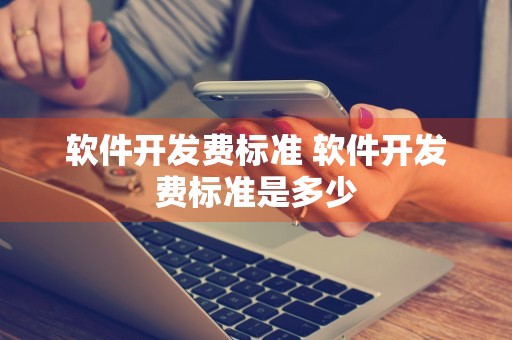 软件开发费标准 软件开发费标准是多少