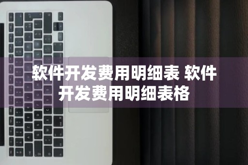 软件开发费用明细表 软件开发费用明细表格