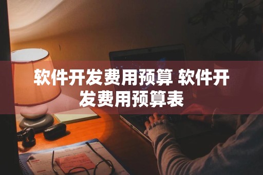 软件开发费用预算 软件开发费用预算表