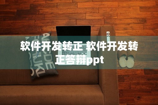 软件开发转正 软件开发转正答辩ppt