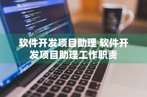 软件开发项目助理 软件开发项目助理工作职责