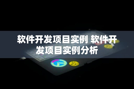 软件开发项目实例 软件开发项目实例分析