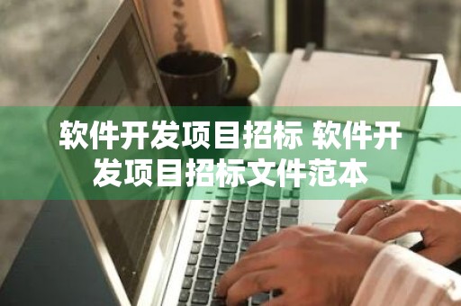 软件开发项目招标 软件开发项目招标文件范本