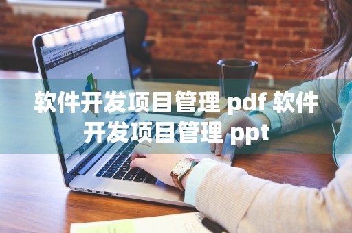 软件开发项目管理 pdf 软件开发项目管理 ppt