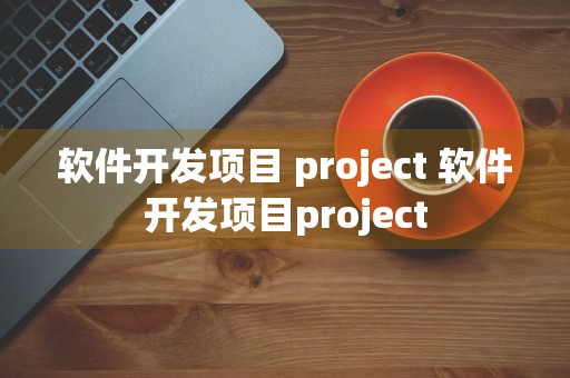 软件开发项目 project 软件开发项目project