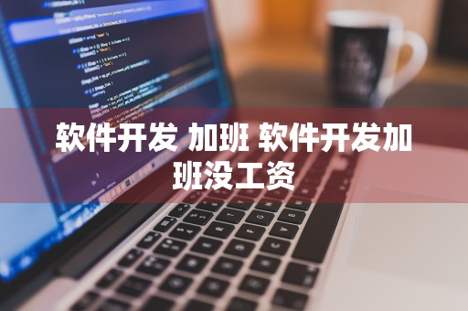 软件开发 加班 软件开发加班没工资