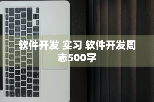 软件开发 实习 软件开发周志500字