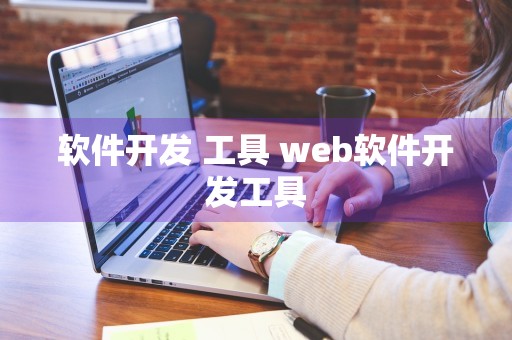 软件开发 工具 web软件开发工具