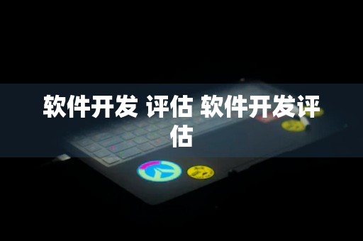 软件开发 评估 软件开发评估