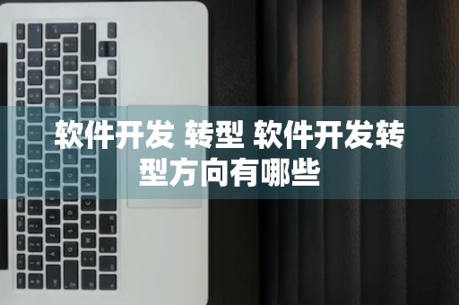 软件开发 转型 软件开发转型方向有哪些