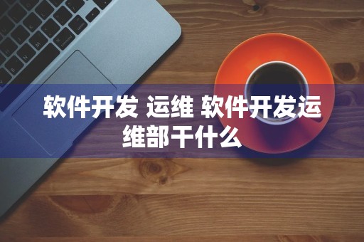 软件开发 运维 软件开发运维部干什么