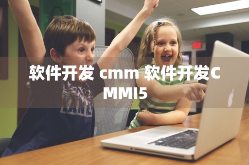 软件开发 cmm 软件开发CMMI5